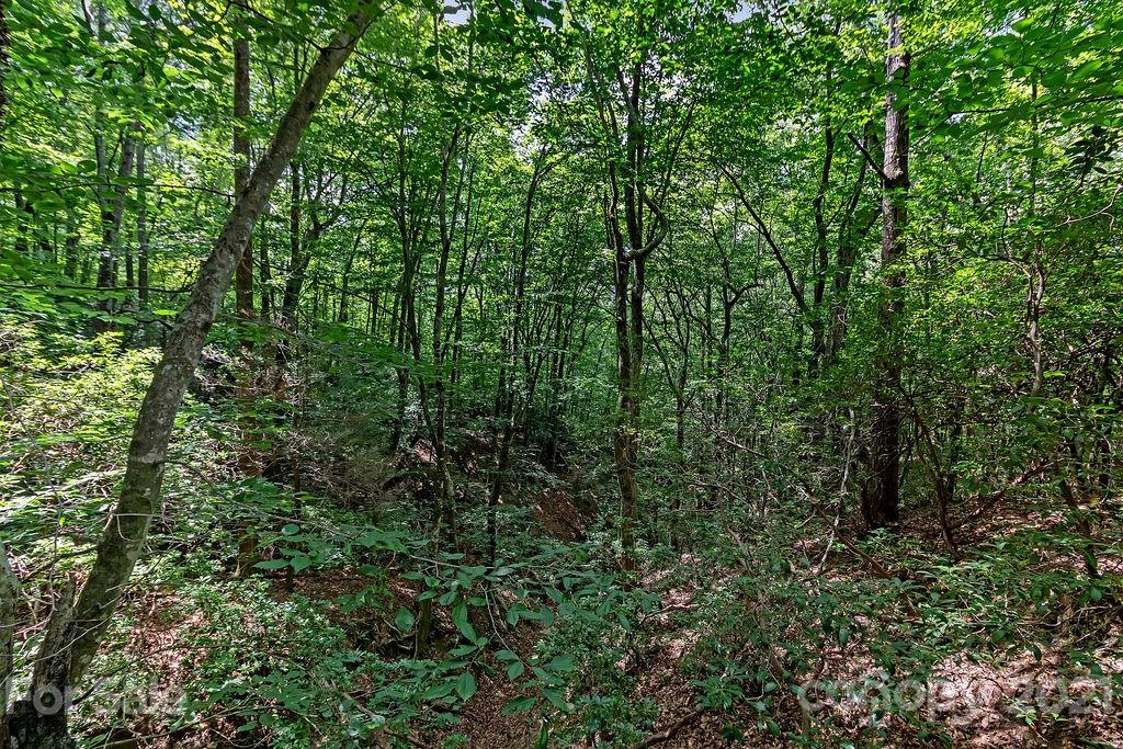6 Chestnut Cove Road, Unit 6 Brevard, NC 28712 - Photo 12 of 12 Gallery Image 12