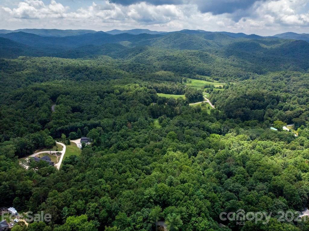 6 Chestnut Cove Road, Unit 6 Brevard, NC 28712 - Photo 4 of 12 Gallery Image 4