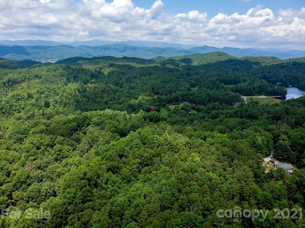 6 Chestnut Cove Road, Unit 6 Brevard, NC 28712 - Photo 6 of 12 Gallery Image 6