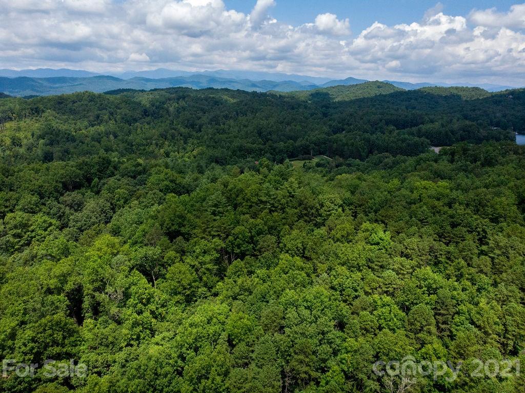6 Chestnut Cove Road, Unit 6 Brevard, NC 28712 - Photo 7 of 12 Gallery Image 7