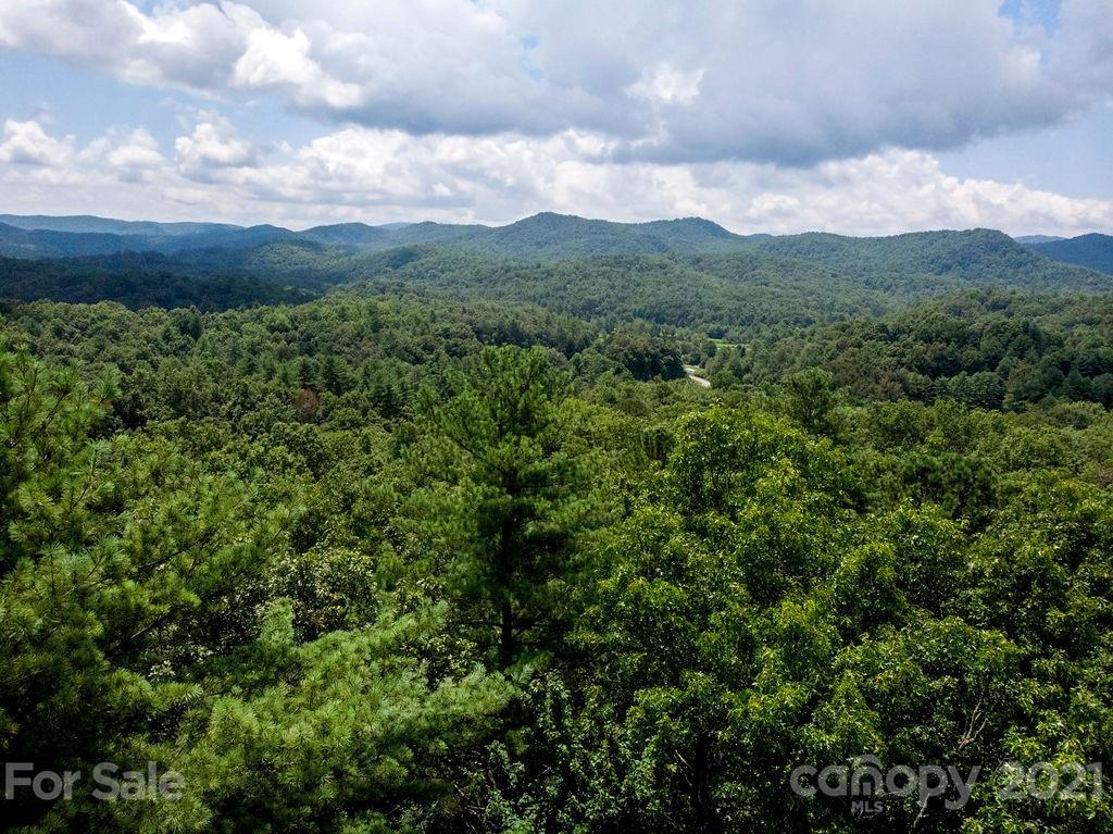6 Chestnut Cove Road, Unit 6 Brevard, NC 28712 - Photo 8 of 12 Gallery Image 8