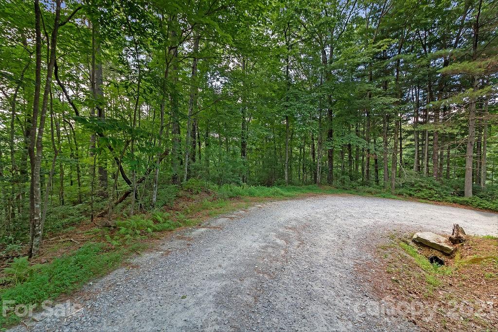 6 Chestnut Cove Road, Unit 6 Brevard, NC 28712 - Photo 9 of 12 Gallery Image 9