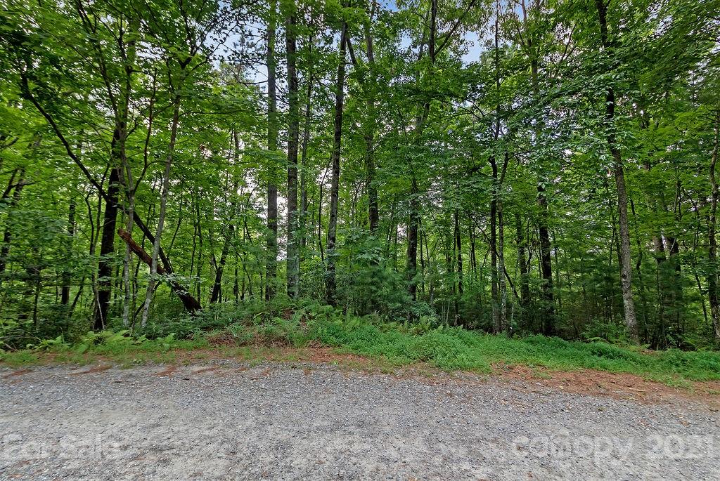 6 Chestnut Cove Road, Unit 6 Brevard, NC 28712 - Photo 10 of 12 Gallery Image 10