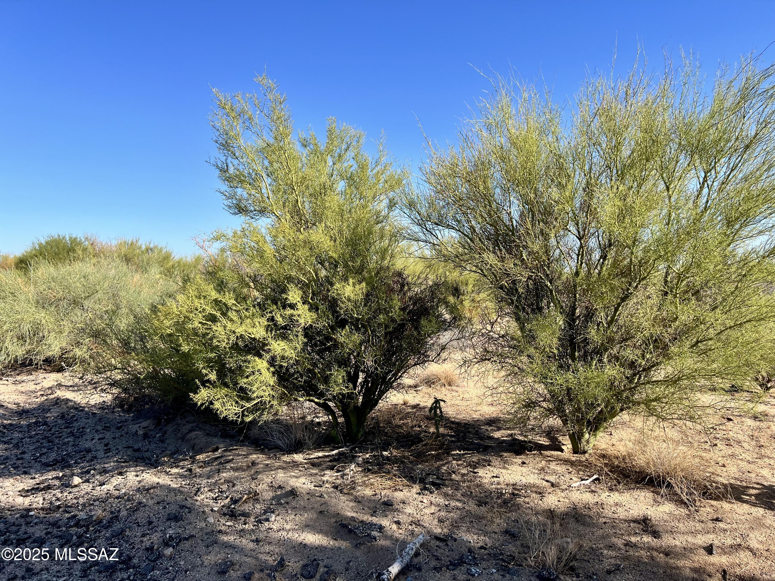 3-lots West Diamond Bell Ranch Road, Unit 1113 Tucson, AZ 85736 - Photo 7 of 12