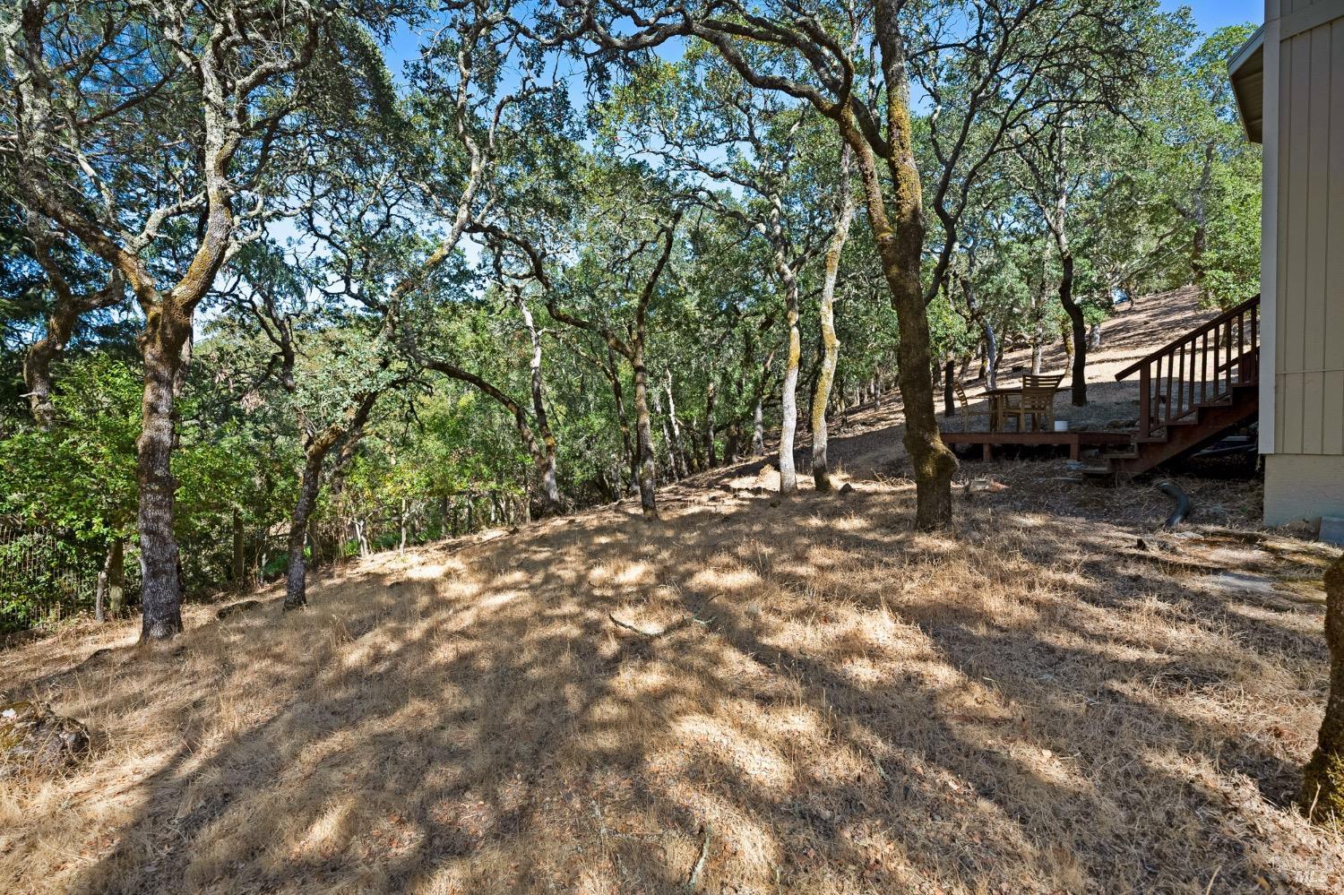 4727 Woodview Drive Santa Rosa, CA 95405 - Photo 3 of 46 a view of outdoor space with deck and trees