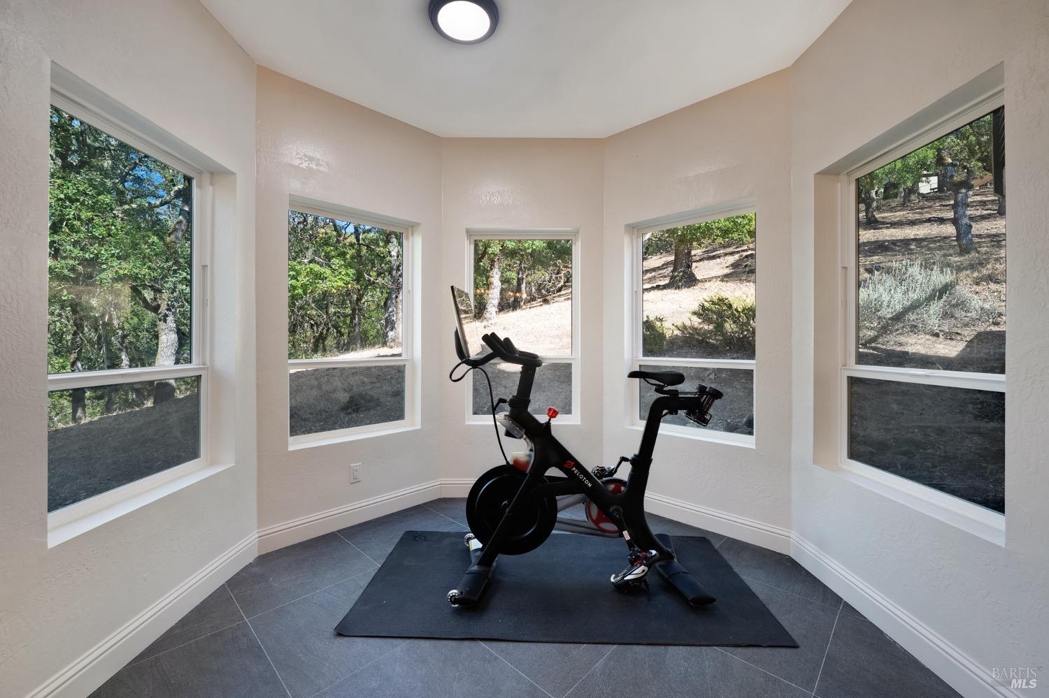 4727 Woodview Drive Santa Rosa, CA 95405 - Photo 33 of 46 a room with gym equipment and windows