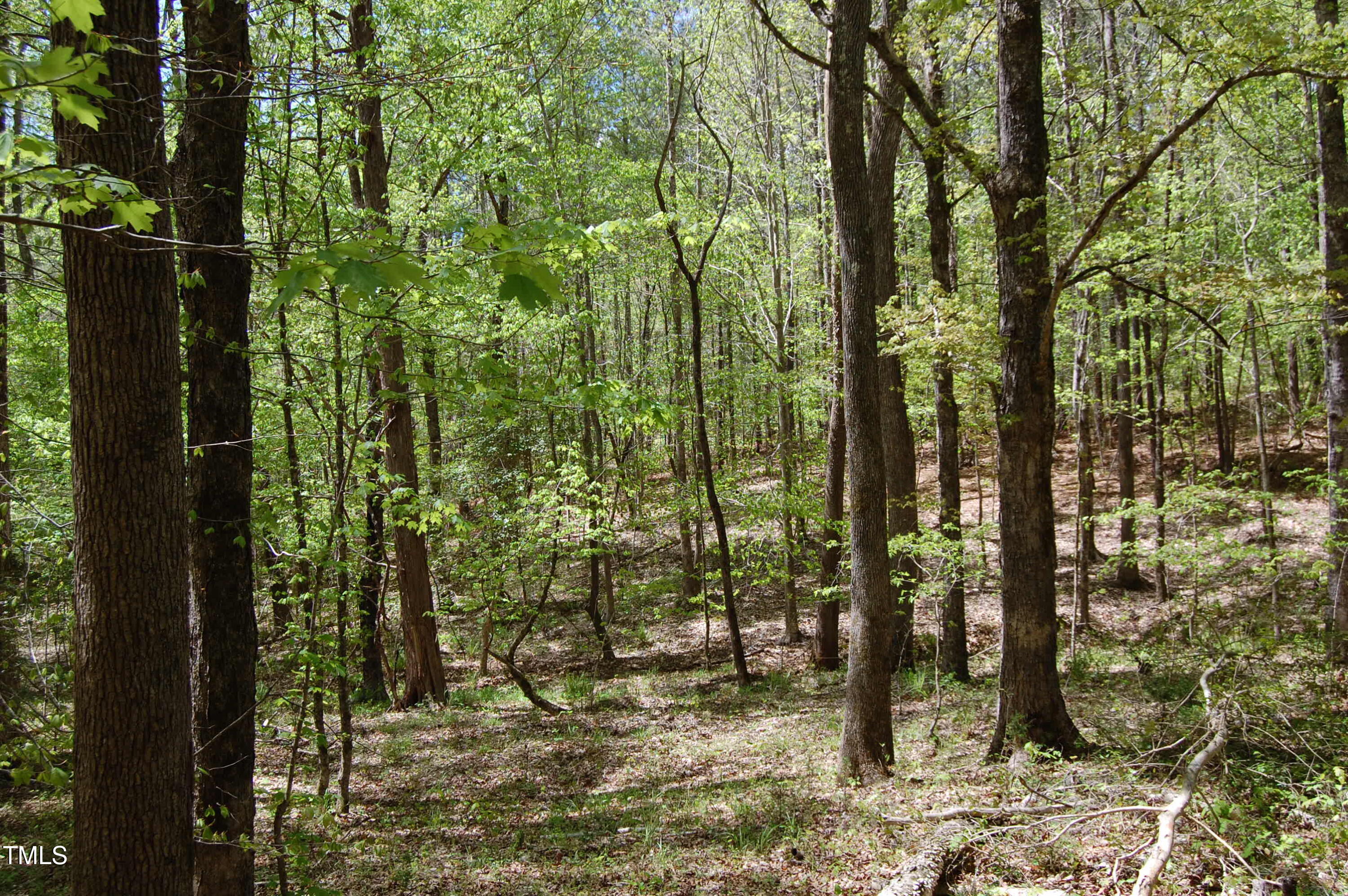 0 Egypt Mountain Road Kittrell, NC 27544 - Photo 5 of 13 a view of outdoor space and garden