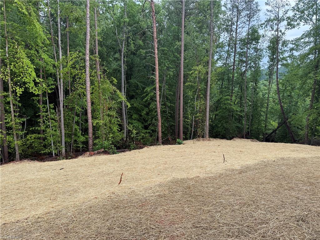 2684 Sowers Road Linwood, NC 27299 - Photo 18 of 18