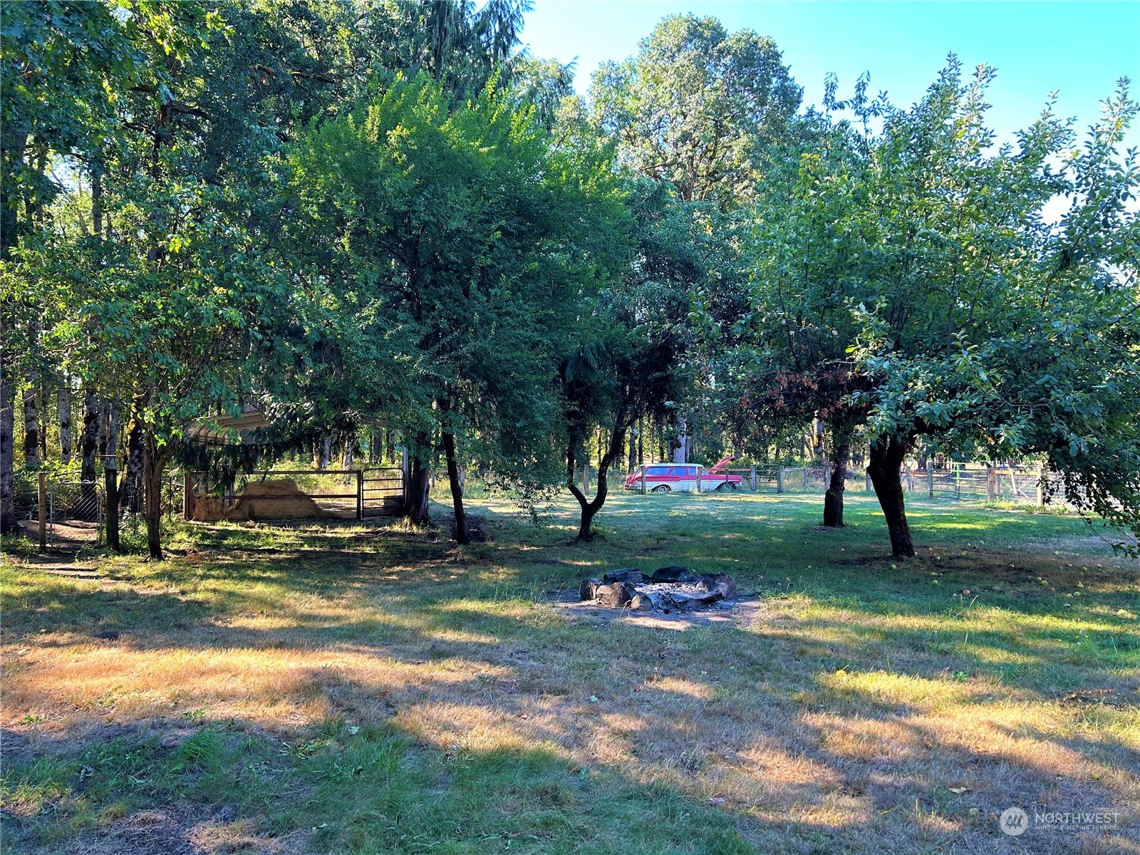 8145 183rd Avenue Southwest Rochester, WA 98579 - Photo 28 of 33 a view of a park with large trees