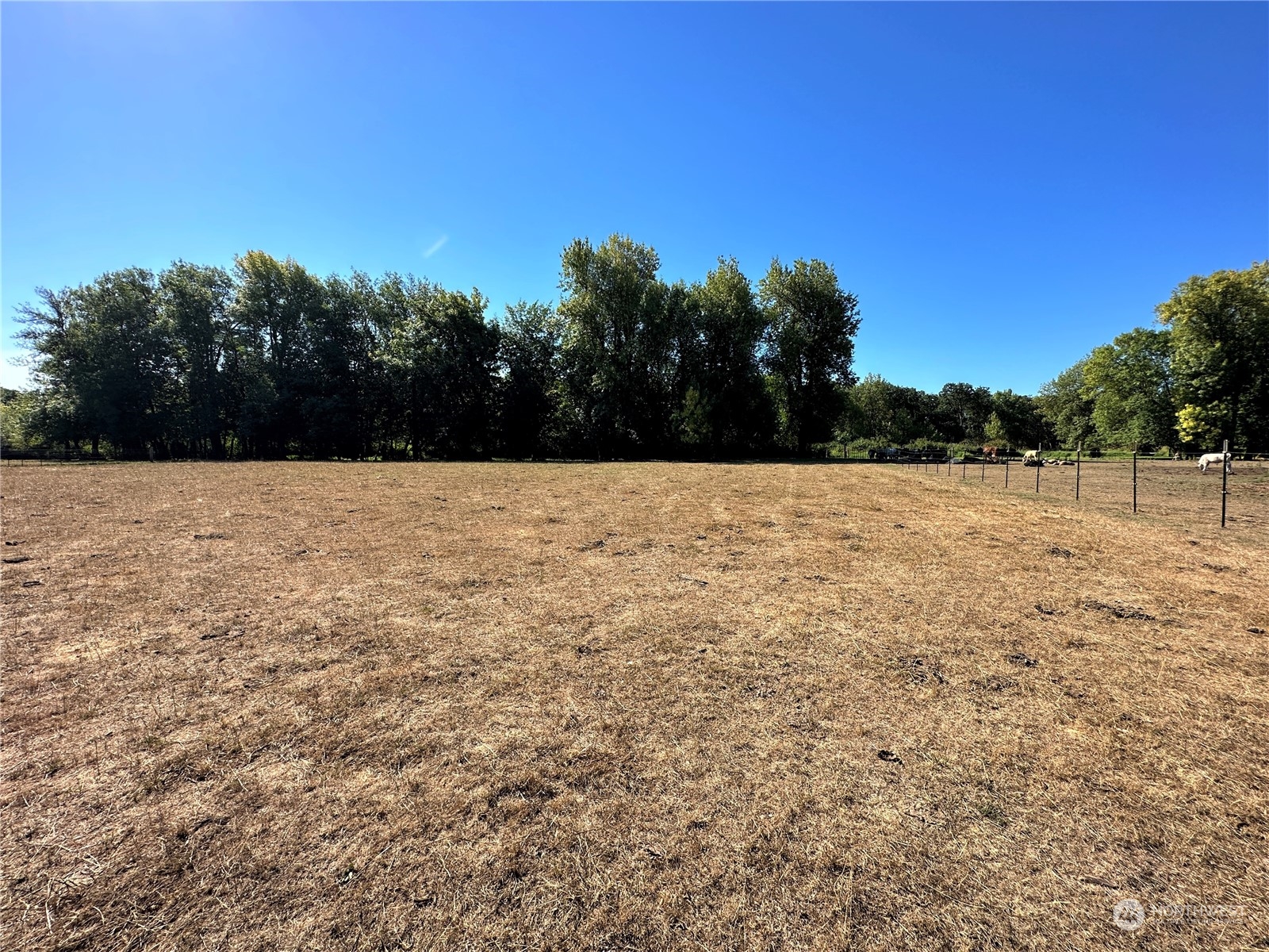 8145 183rd Avenue Southwest Rochester, WA 98579 - Photo 32 of 33 a view of an outdoor space and a yard