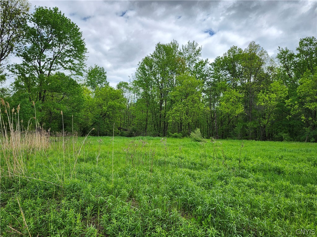 Gifford Road Rome, NY 13440 - Photo 5 of 7