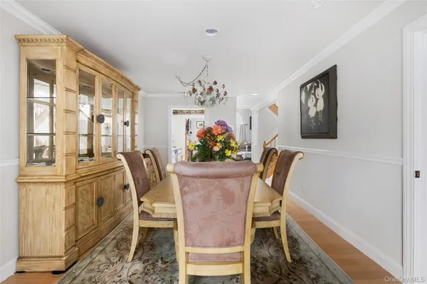 a view of a dining room with furniture a potted plant and wooden floor