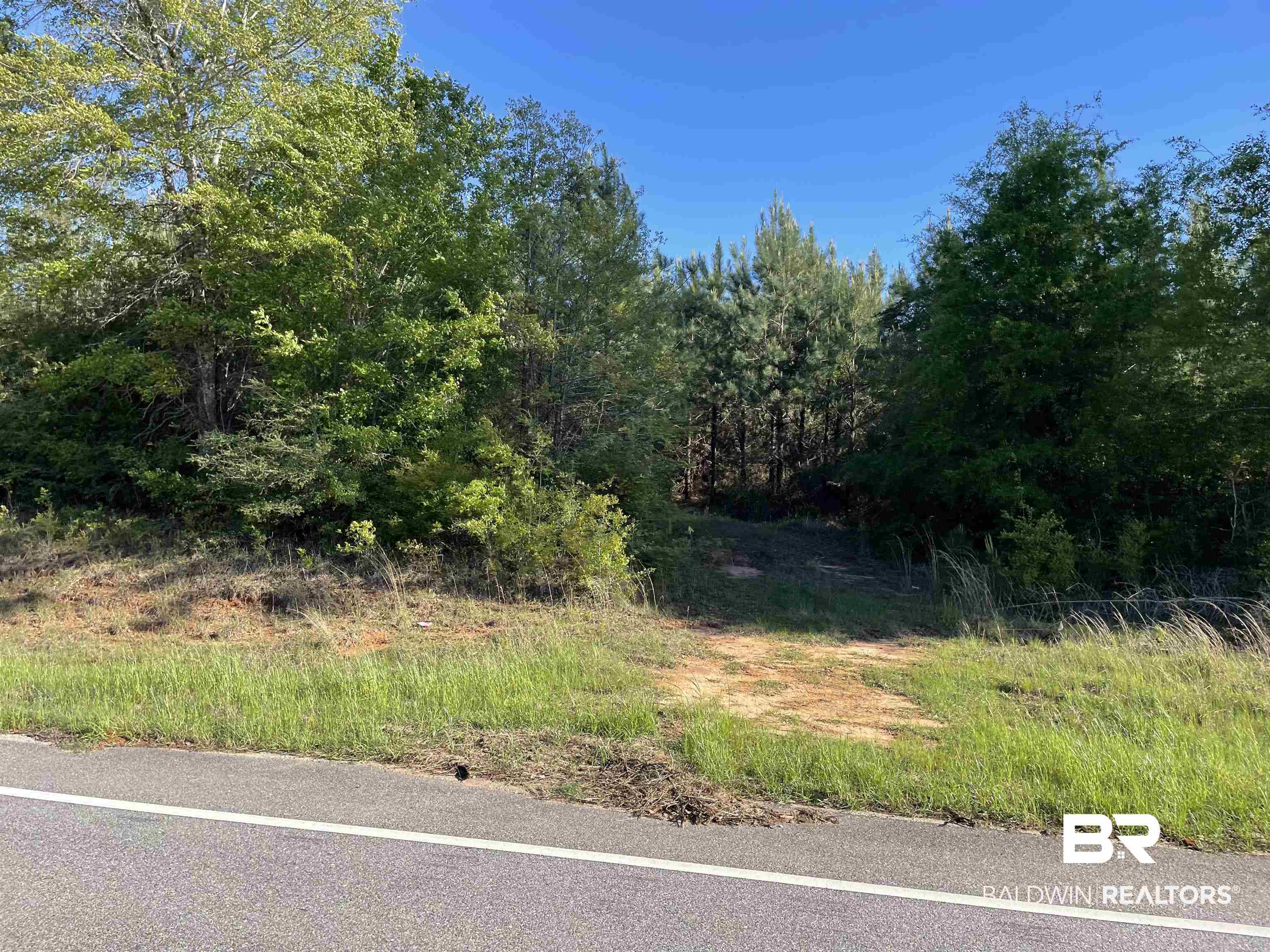 0 U.S. Highway 31 Evergreen, AL 36401 - Photo 2 of 3