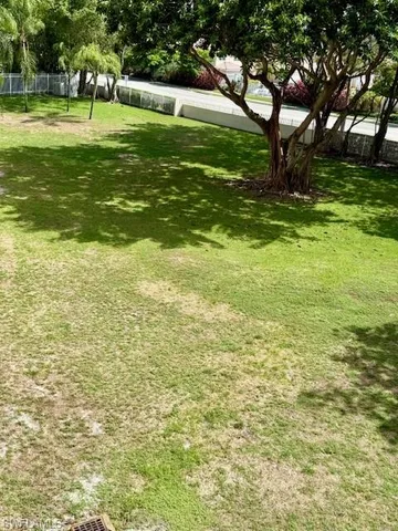 a view of a trees with a big yard