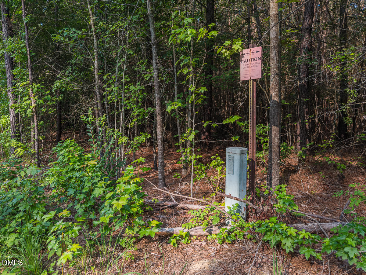 0 Cassam Road Bahama, NC 27503 - Photo 27 of 39 Durham Co. NC 10.09-Rogers-Lot1-27