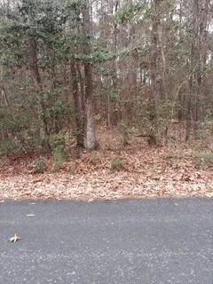 $15,000 | Lot 211 Prices Bridge Lane, Walterboro, SC 29488