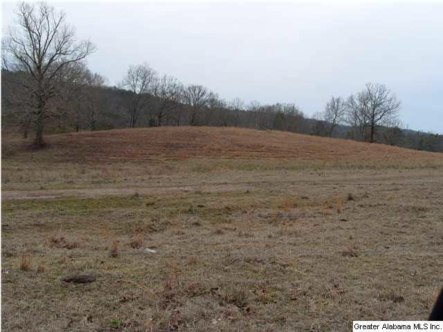 8741 Bluff Ridge Road, Unit 1 Bessemer, AL 35022 - Photo 2 of 2 Gallery Image 2