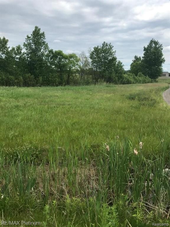 Parcel J North Hacker Road Howell, MI 48855 - Photo 1 of 2