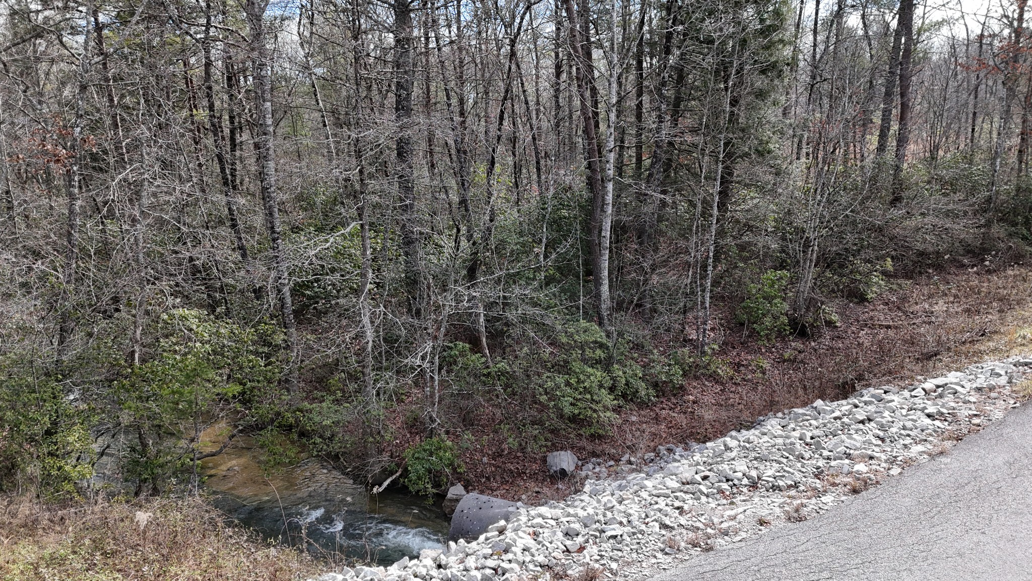 0 Spearhead Circle Clarkrange, TN 38553 - Photo 13 of 14 a view of a yard with trees in the background