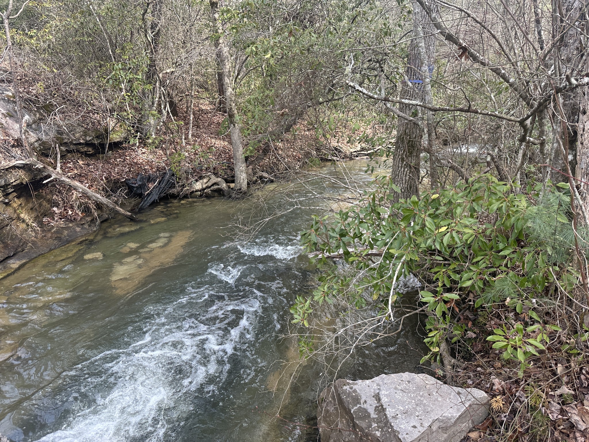0 Spearhead Circle Clarkrange, TN 38553 - Photo 4 of 14 a view of a yard