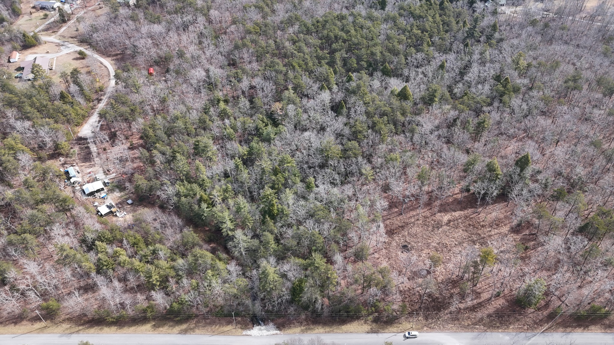 0 Spearhead Circle Clarkrange, TN 38553 - Photo 5 of 14 a view of a dry yard with trees
