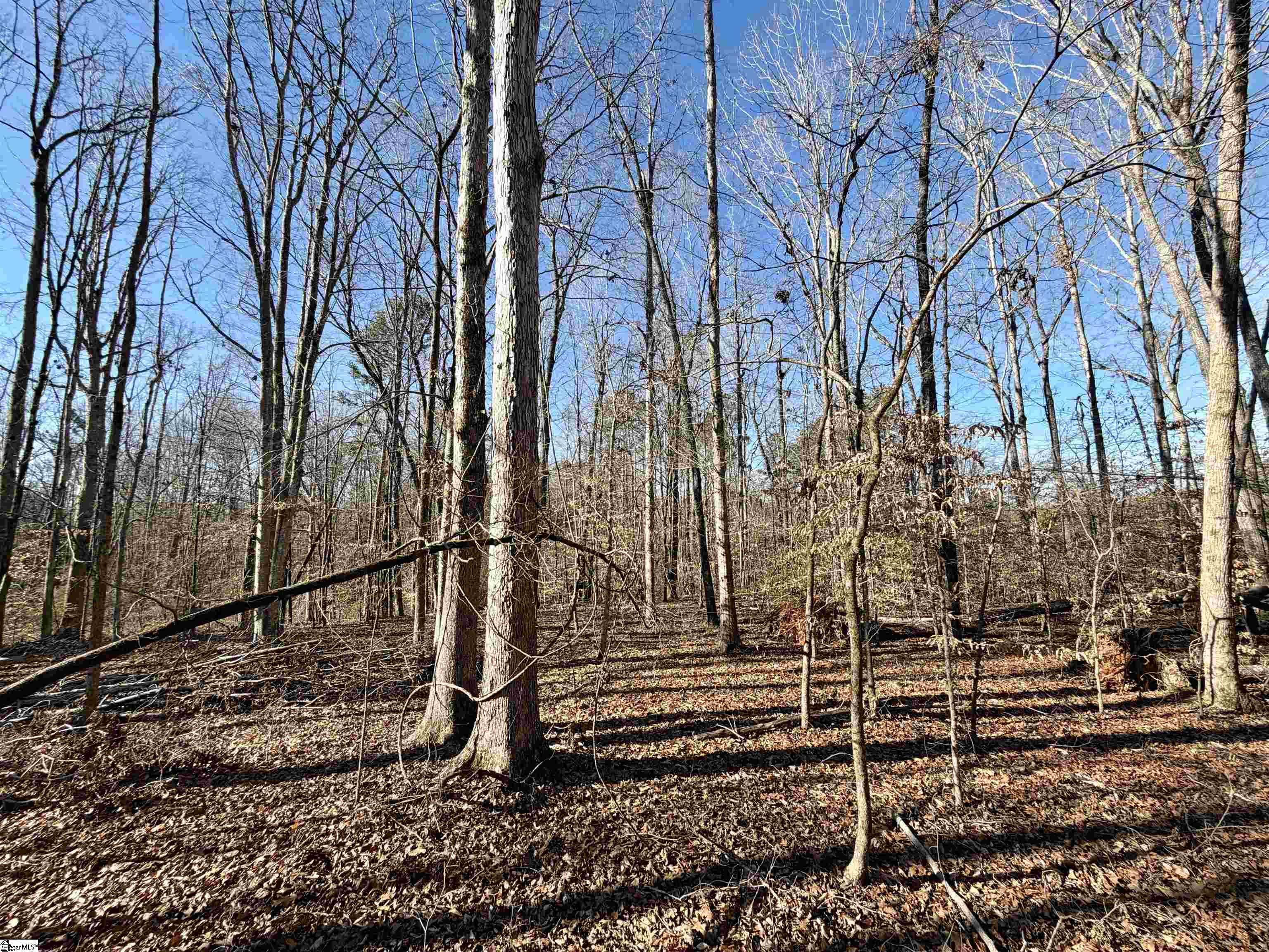 0 Neely Ferry Road Laurens, SC 29360 - Photo 23 of 24 Gallery Image 23
