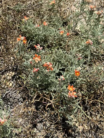 $69,900 | 22960 Blackhills Drive, Trinidad, CO 81082