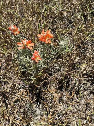 $69,900 | 22960 Blackhills Drive, Trinidad, CO 81082