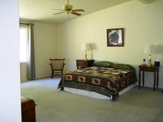 570 Schiefflin Gulch Road Gold Hill, OR 97525 - Photo 17 of 32 19