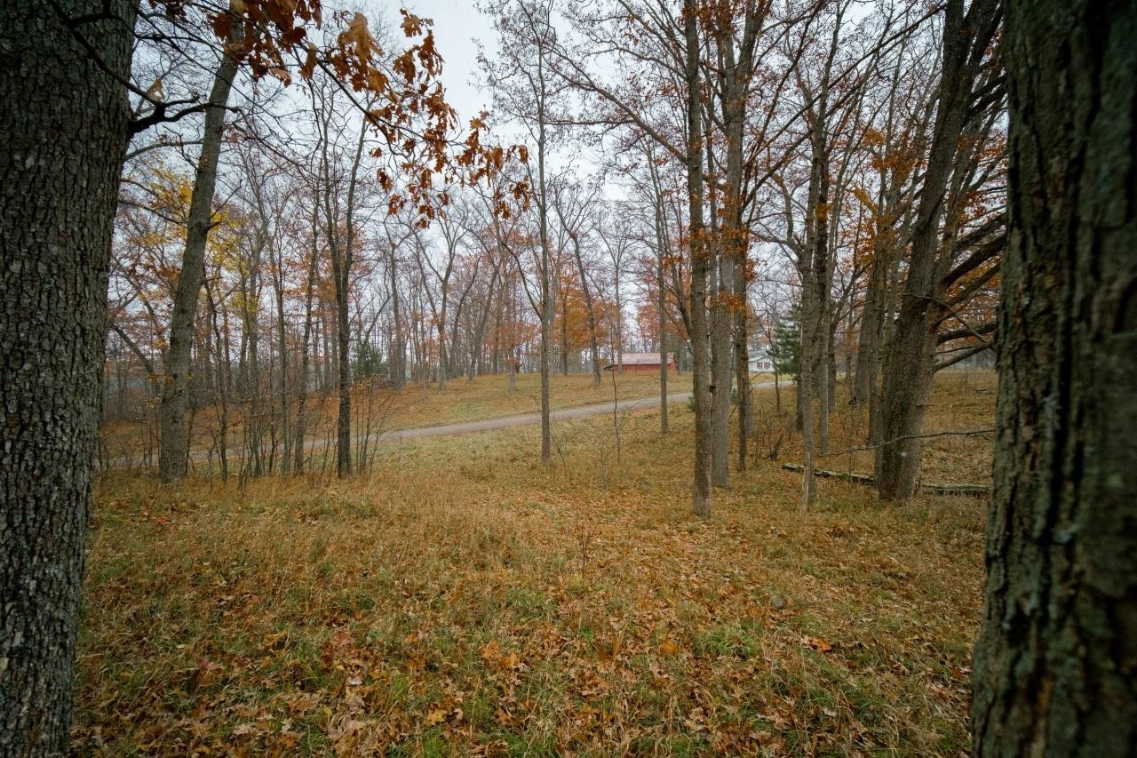11 Hunters Ridge Drive Irons, MI 49644 - Photo 23 of 38 1895563-22.JPG