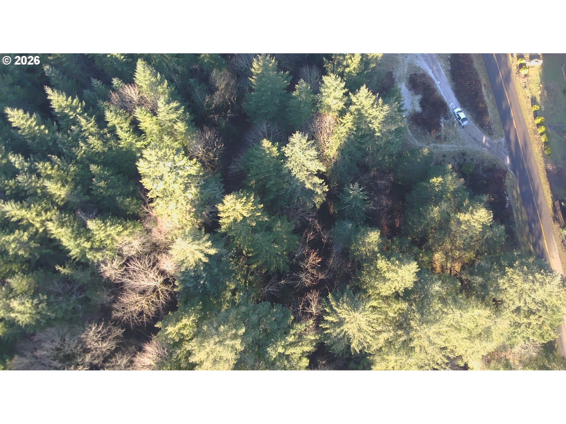 Brice Creek Road Dorena, OR 97434 - Photo 7 of 13