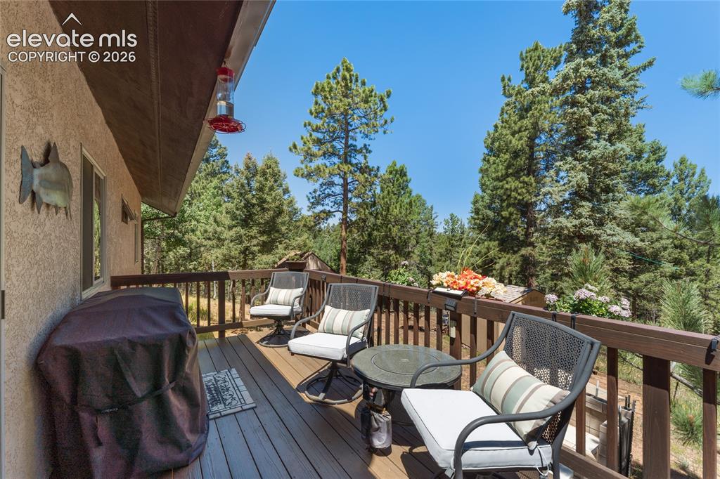 657 Spring Valley Drive Divide, CO 80814 - Photo 35 of 43 Spacious outdoor deck with wood-finish flooring and a wood railing