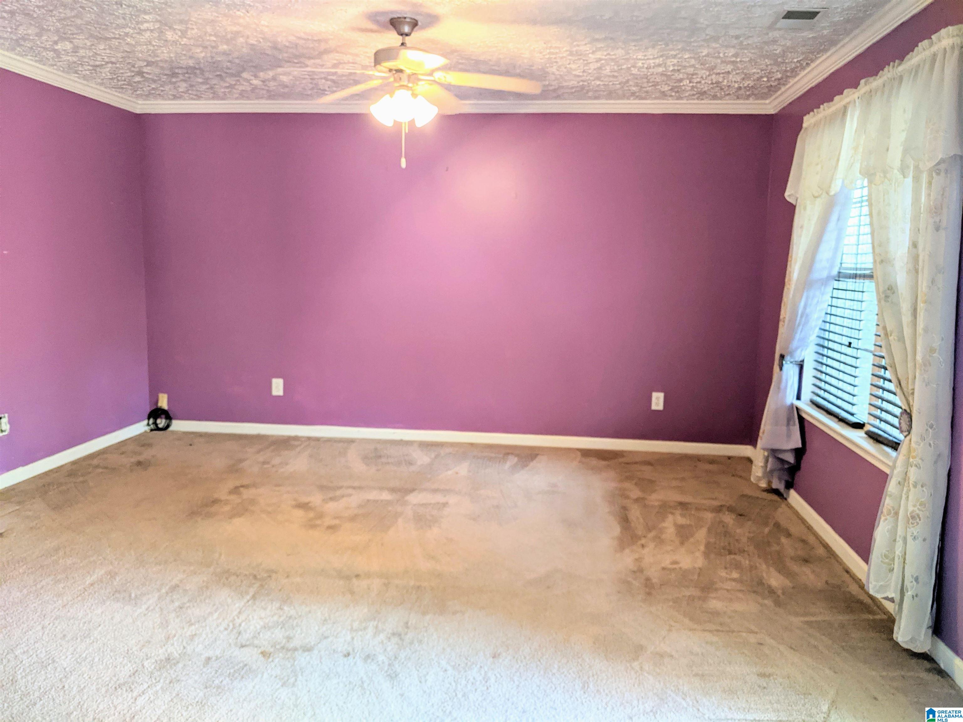 244 Red Valley Road Remlap, AL 35133 - Photo 4 of 26 Gallery Image 4