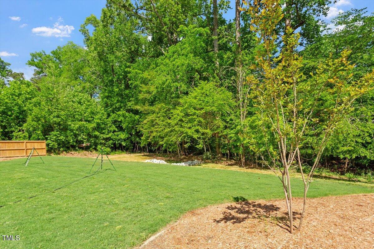 3932 Old Chapel Hill Road Durham, NC 27707 - Photo 45 of 46 a view of a park with a tree in the background