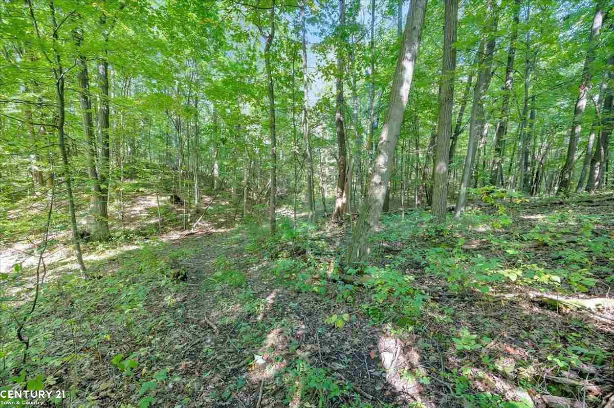 Myrtle Lane Fenton, MI 48430 - Photo 4 of 5 Gallery Image 4