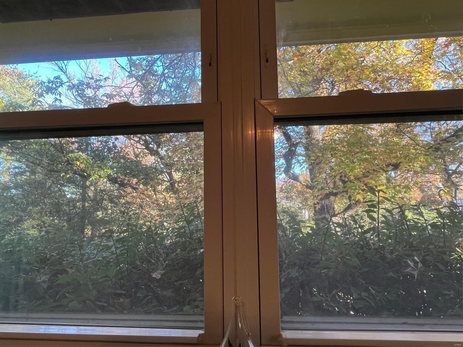 11627 Fallbrook Drive St. Louis, MO 63131 - Photo 54 of 88