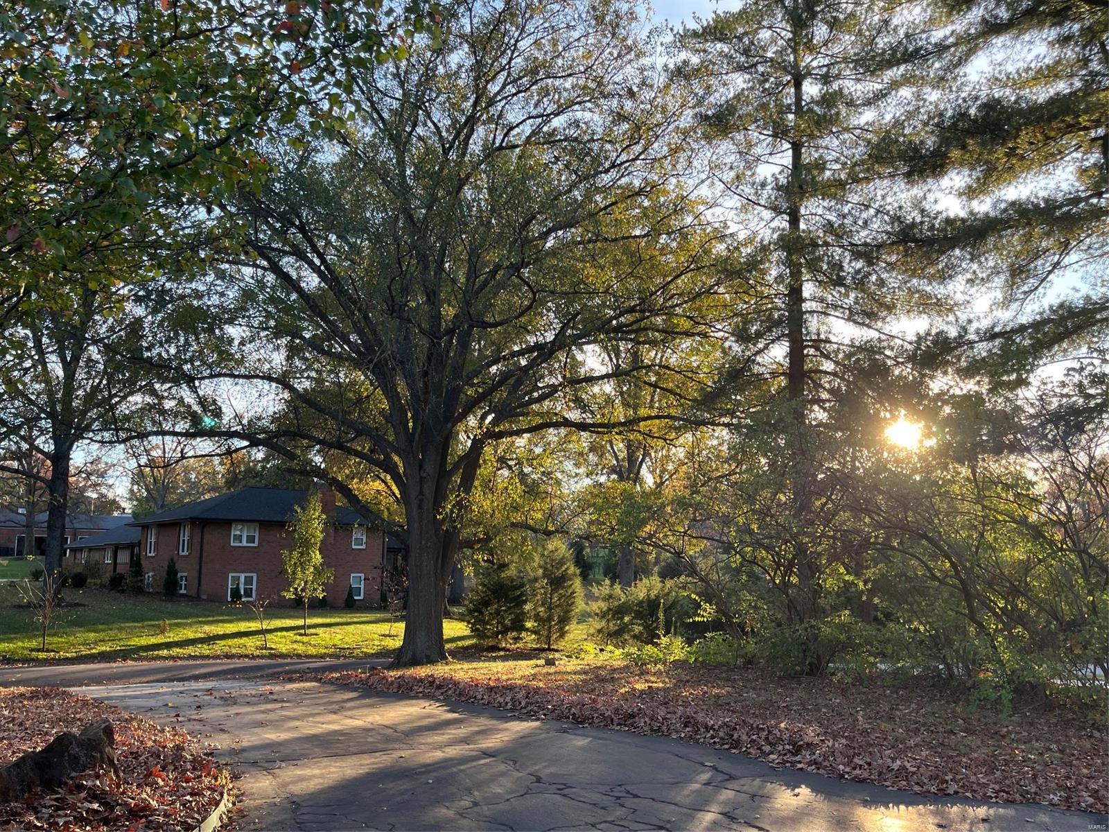 11627 Fallbrook Drive St. Louis, MO 63131 - Photo 71 of 88