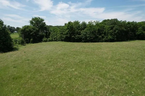 a view of a big yard with plants and large trees