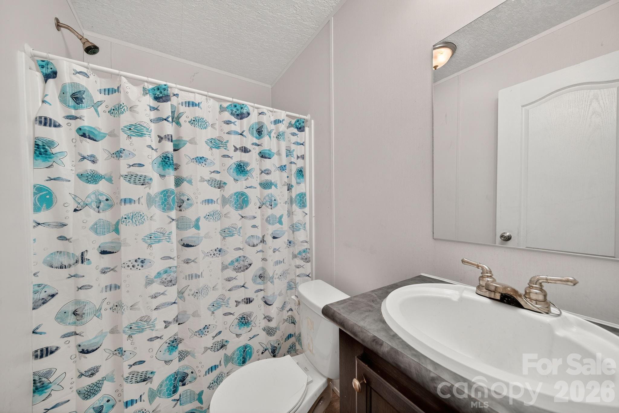 6956 Jamestowne Road Lancaster, SC 29720 - Photo 19 of 36 a bathroom with a sink toilet and a mirror