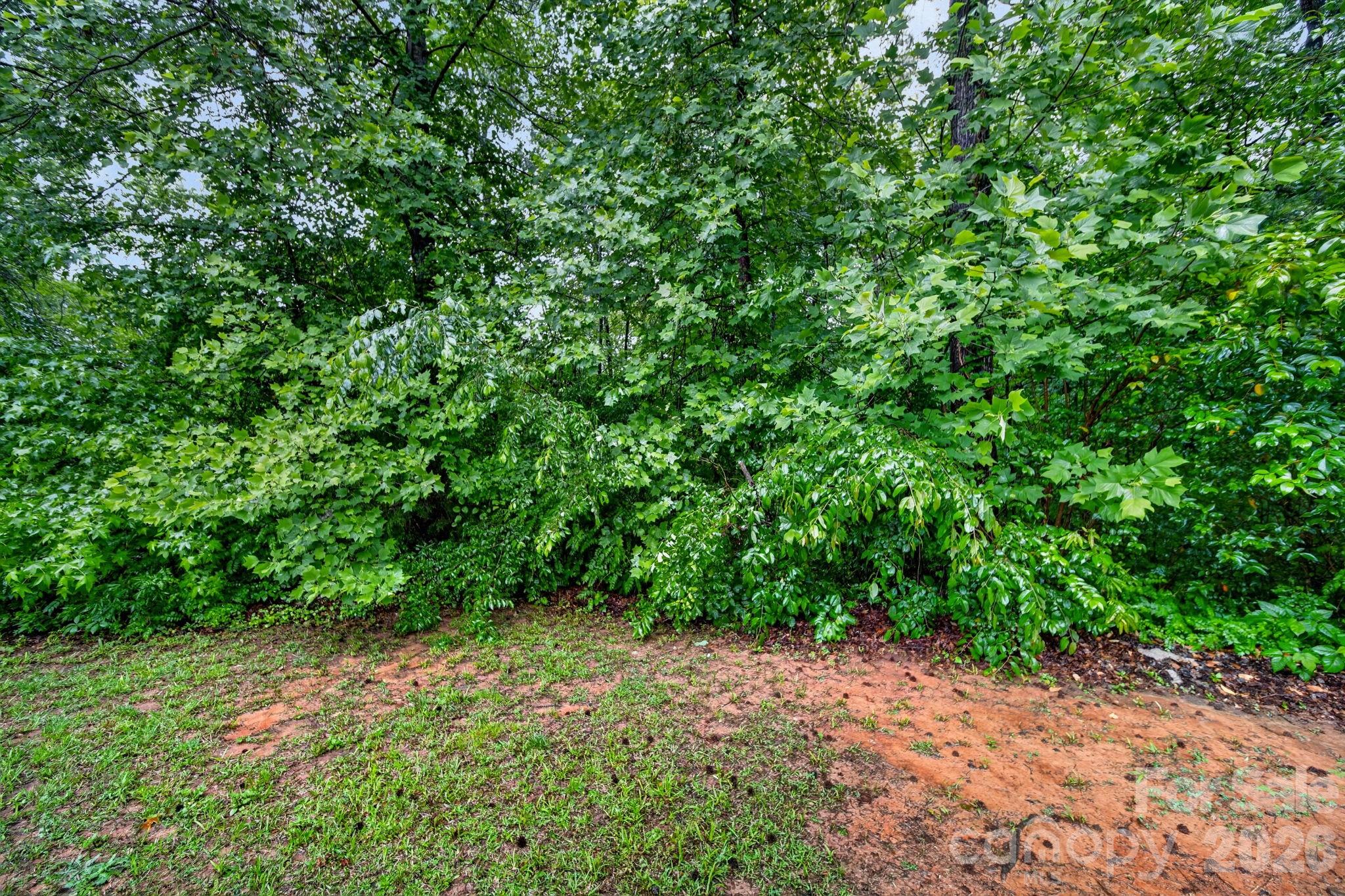 6956 Jamestowne Road Lancaster, SC 29720 - Photo 35 of 36 a view of a yard with plants and a tree