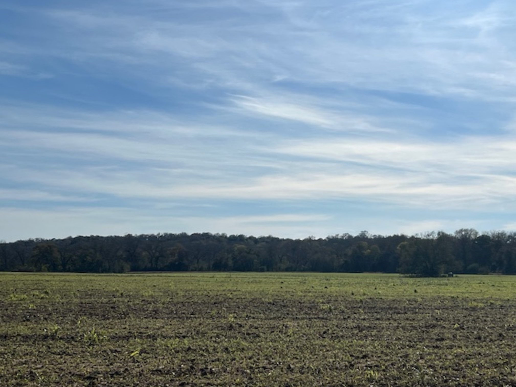 28-acres Shaws Bend Road Columbus, TX 78934 - Photo 4 of 22 a view of an ocean and a mountain