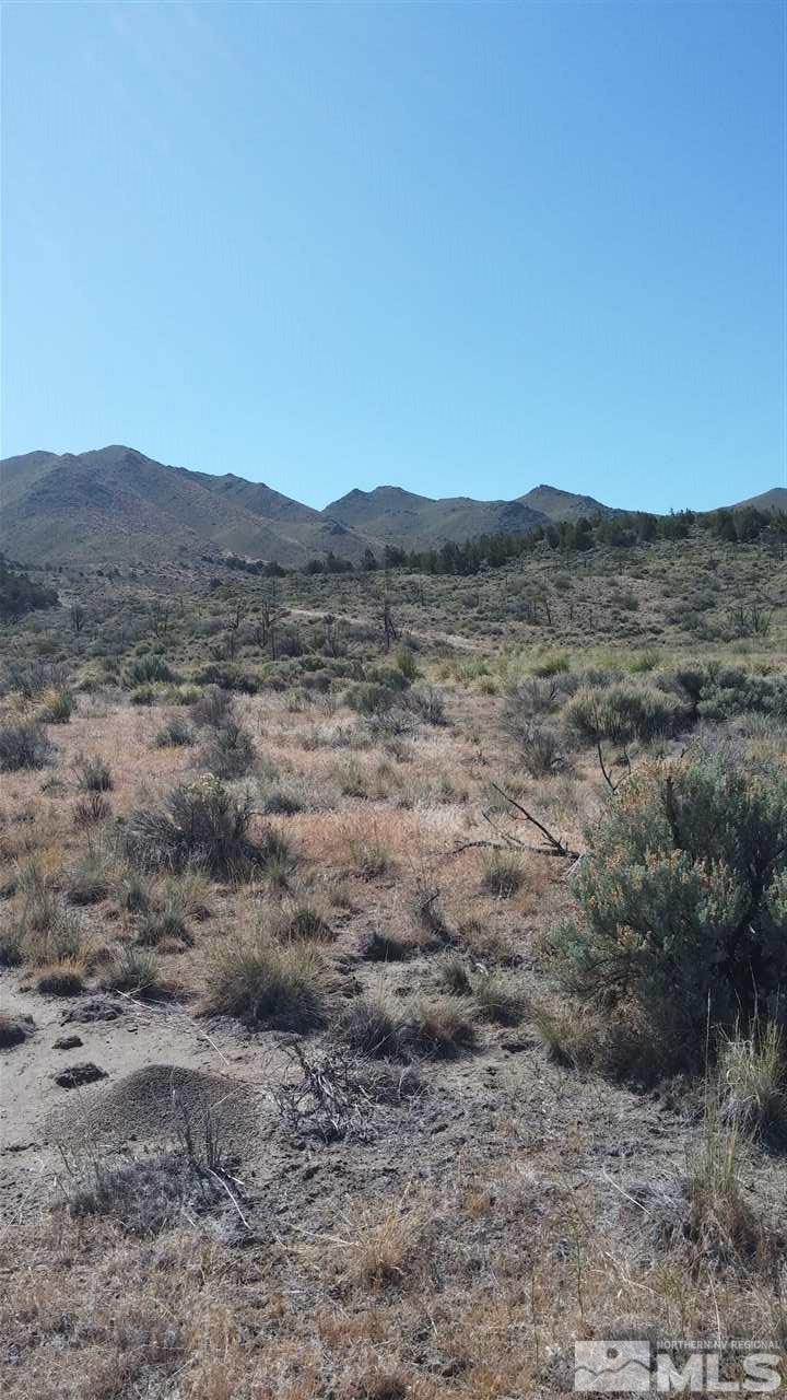 1270 Deerlodge Road Reno, NV 89508 - Photo 2 of 4 Photo 2