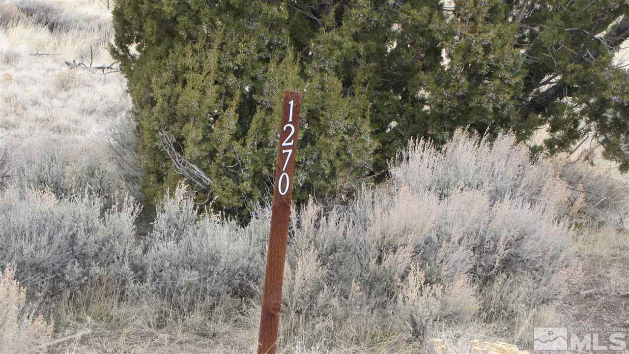 1270 Deerlodge Road Reno, NV 89508 - Photo 4 of 4 Photo 4