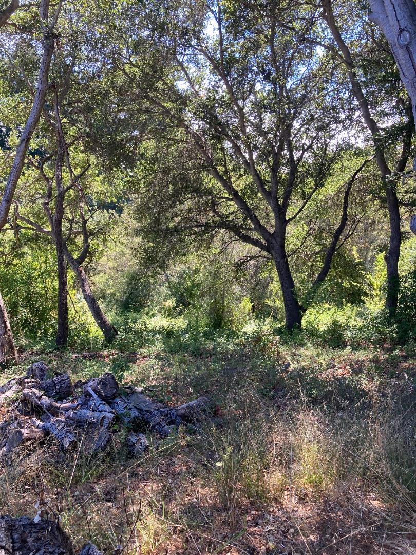 514 Meder Street Santa Cruz, CA 95060 - Photo 13 of 14