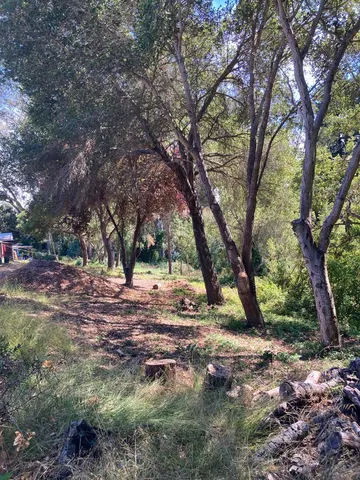 a view of outdoor space with trees