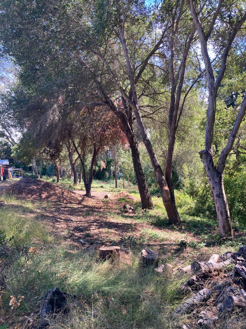 514 Meder Street Santa Cruz, CA 95060 - Photo 14 of 14