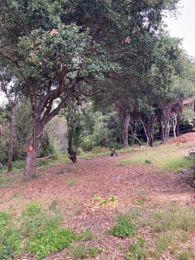 514 Meder Street Santa Cruz, CA 95060 - Photo 2 of 14