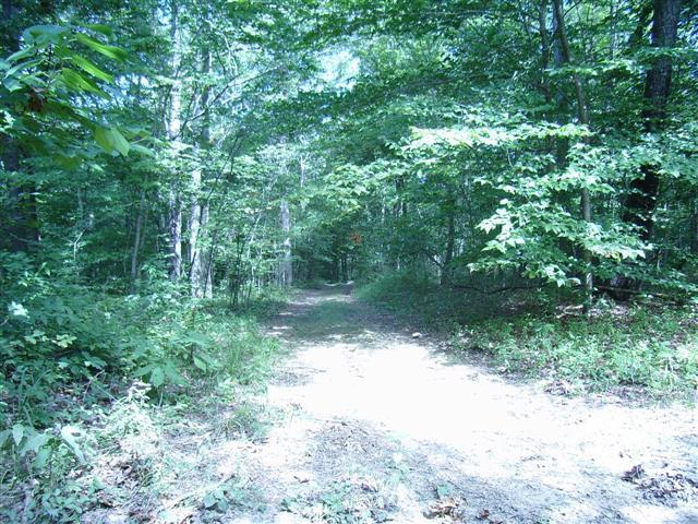 159 Hickory Road Big Rock, TN 37023 - Photo 5 of 20 Excellent deer hunting on this property. Trails & 4-wheeler trails down to creek.