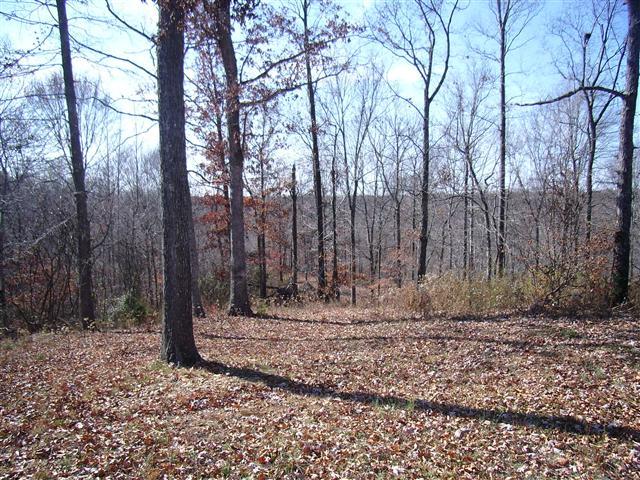 159 Hickory Road Big Rock, TN 37023 - Photo 8 of 20 Back lawn view. Count the deer - from your back deck!