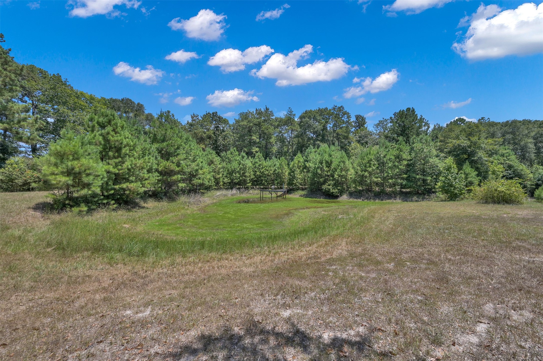 10173 Crockett Martin Road Conroe, TX 77306 - Photo 8 of 20